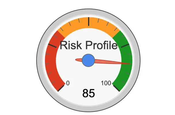 Risk Profiling 5
