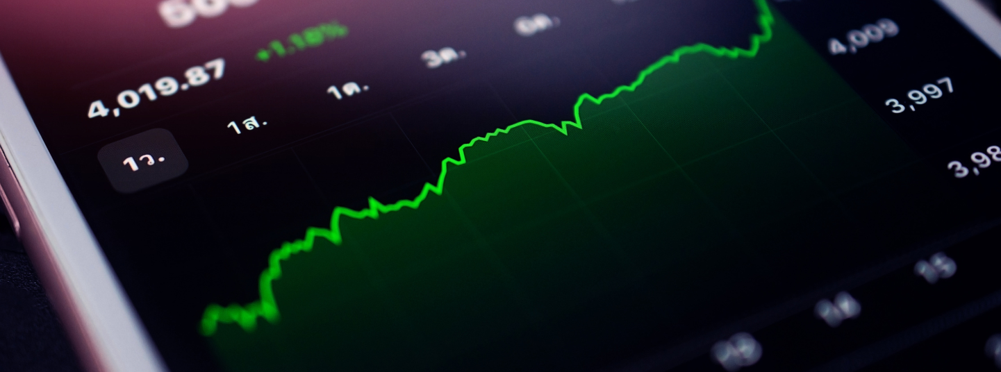 Top Performing High Risk Stocks to Invest in 2024