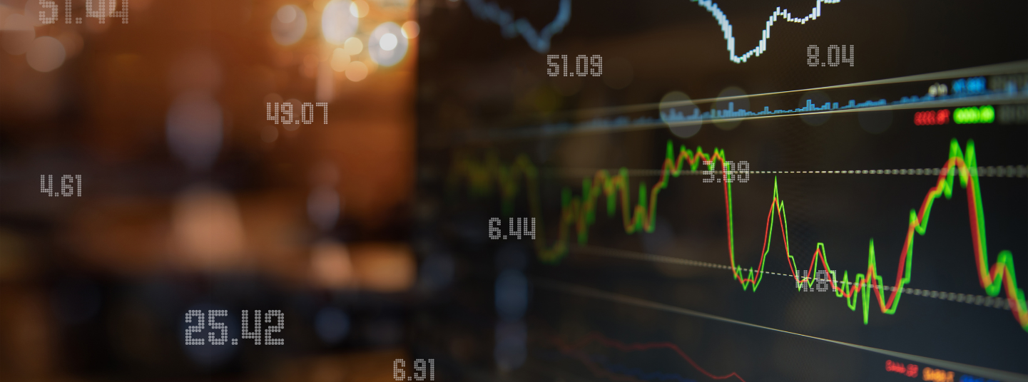 Lok Sabha Election 2024 - 5 Smart Investment Strategies