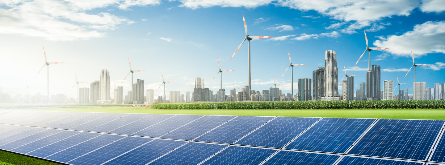 Investing in India's Renewable Energy: Top Stocks to Invest in the Green Energy Sector!