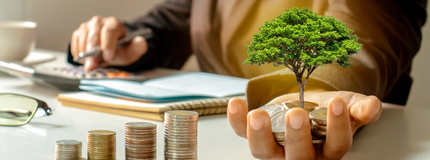 Top ELSS Mutual Funds with 5-Year High  Returns