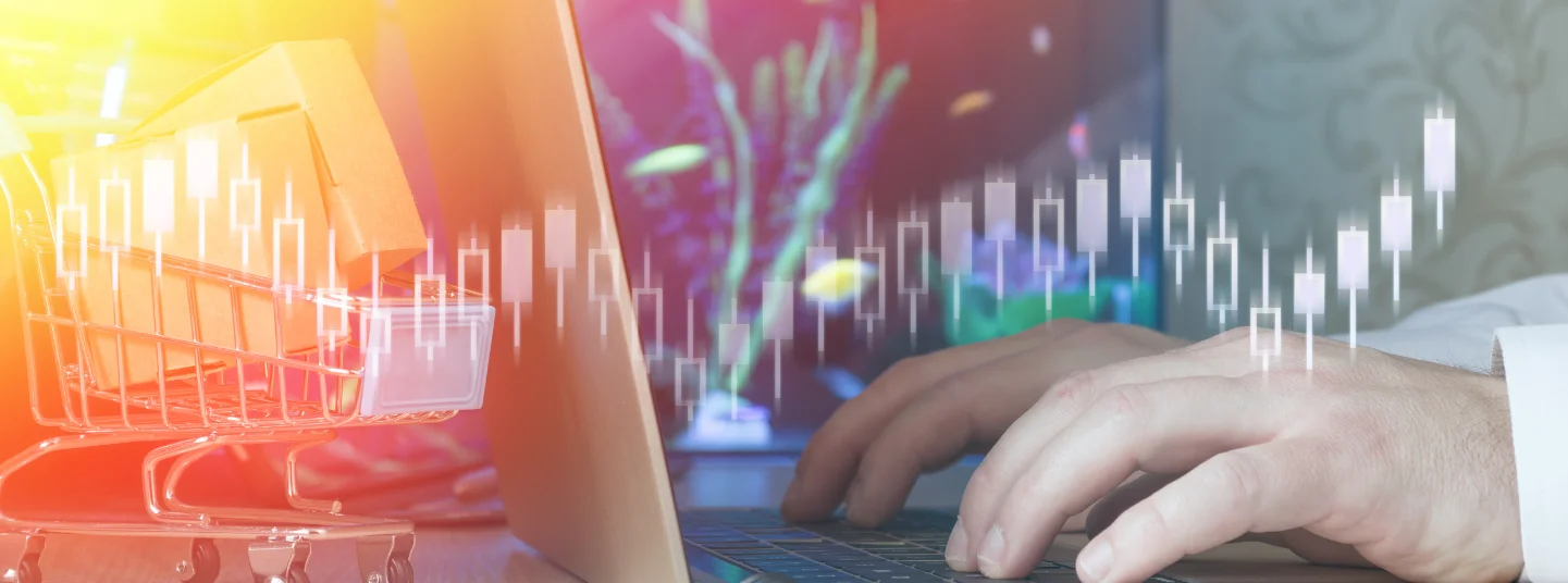 Financial Advisors for HNIs vs Retail Investors