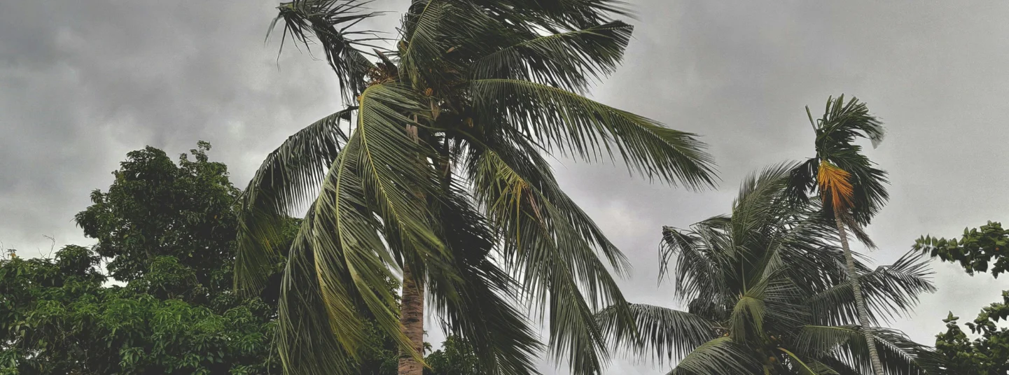 Is India Getting a Weak Monsoon In 2026? What A Weak Monsoon Means for Agriculture and the Economy