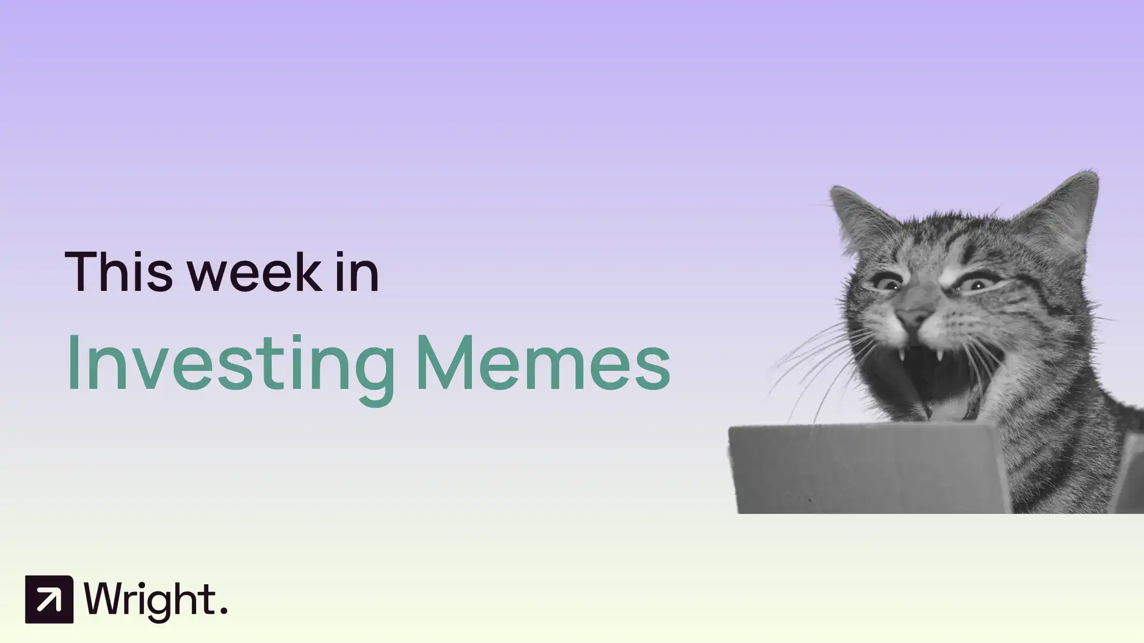 This week in investing memes